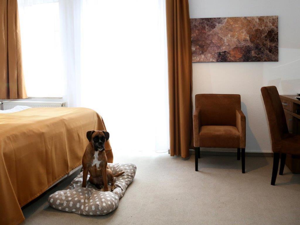 Arthotel Bad Pyrmont Exterior foto